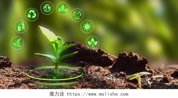 绿色创意植物光效绿色环保展板背景绿色发展